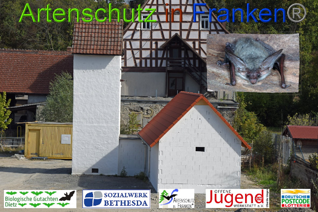 © Artenschutz in Franken® Bild zum Eintrag (1025874-160)