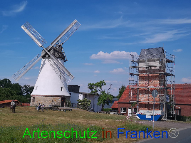 © Artenschutz in Franken® / Vennemann Bild zum Eintrag (1025885-160)
