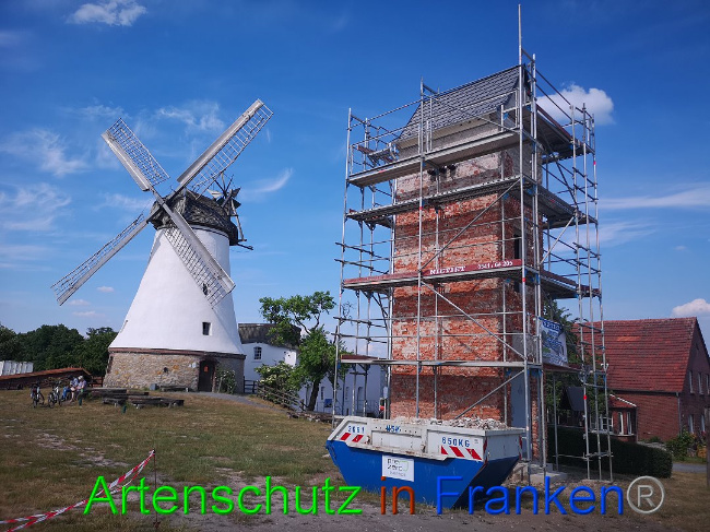 © Artenschutz in Franken® / Vennemann Bild zum Eintrag (1025886-160)