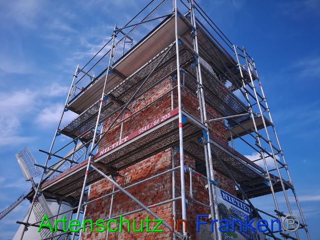 © Artenschutz in Franken® / Vennemann Bild zum Eintrag (1025890-160)