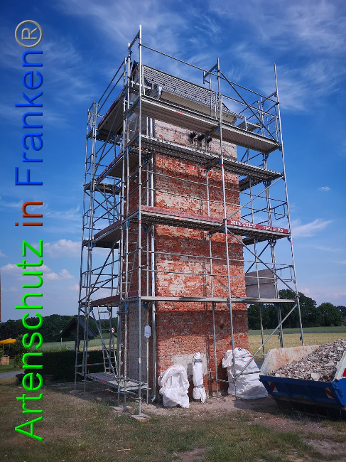 © Artenschutz in Franken® / Vennemann Bild zum Eintrag (1025893-160)