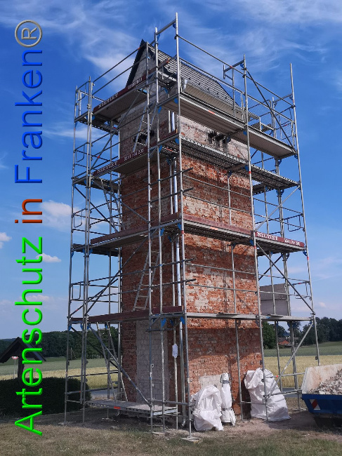 © Artenschutz in Franken® / Vennemann Bild zum Eintrag (1025895-160)