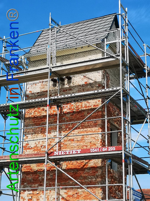 © Artenschutz in Franken® / Vennemann Bild zum Eintrag (1025896-160)