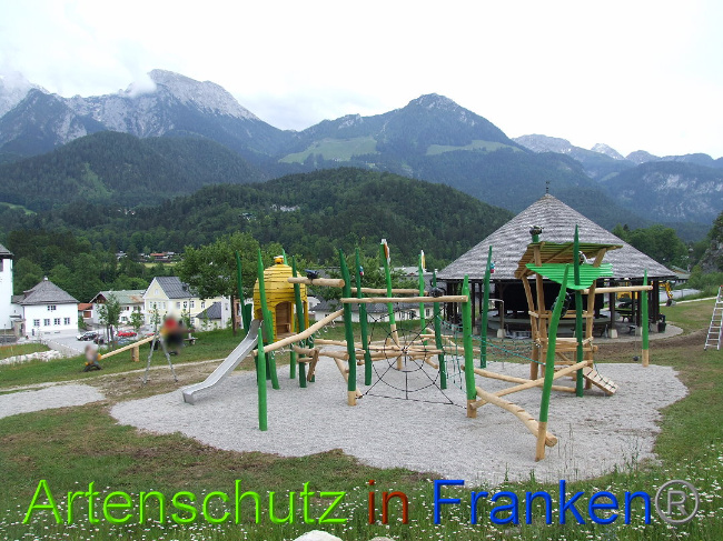 © Artenschutz in Franken® / Mehrtens Bild zum Eintrag (1026023-160)