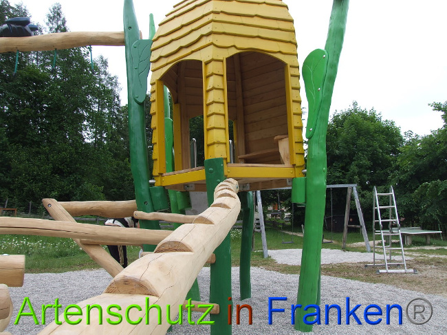 © Artenschutz in Franken® / Mehrtens Bild zum Eintrag (1026042-160)