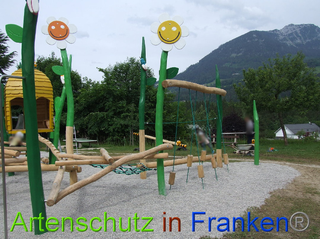 © Artenschutz in Franken® / Mehrtens Bild zum Eintrag (1026044-160)