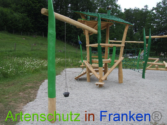 © Artenschutz in Franken® / Mehrtens Bild zum Eintrag (1026071-160)