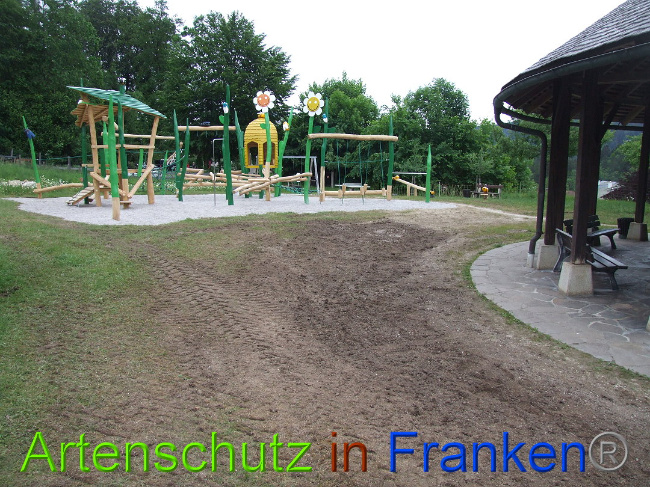 © Artenschutz in Franken® / Mehrtens Bild zum Eintrag (1026072-160)