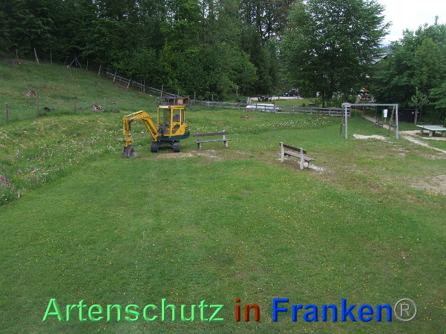© Artenschutz in Franken® / Mehrtens Bild zum Eintrag (1026074-160)