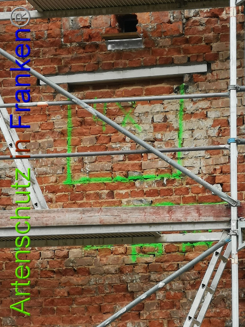 © Artenschutz in Franken® / Vennemann Bild zum Eintrag (1026152-160)