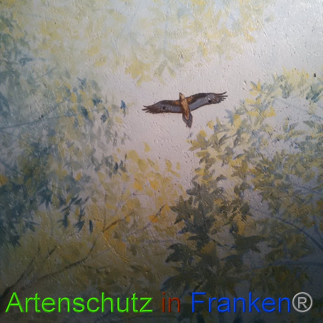 © Artenschutz in Franken® Bild zum Eintrag (1026488-160)