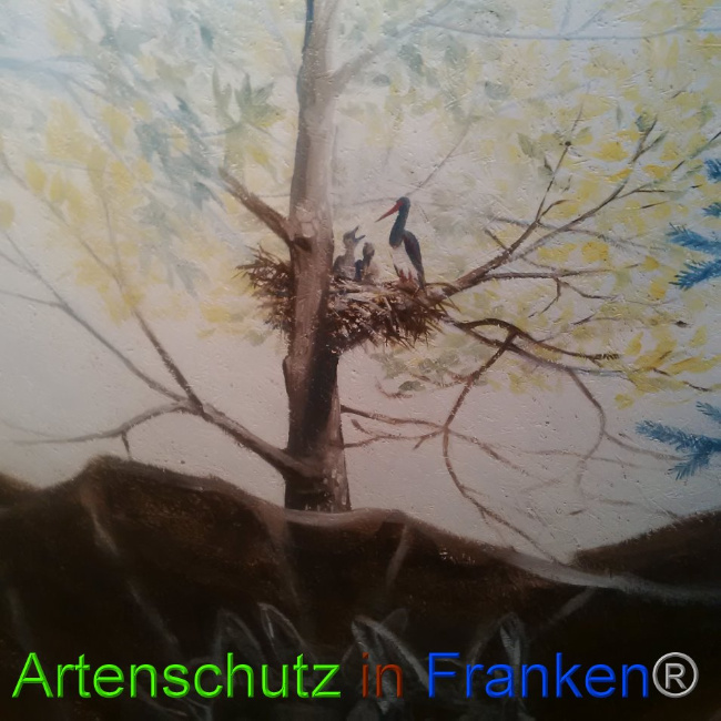 © Artenschutz in Franken® Bild zum Eintrag (1026489-160)