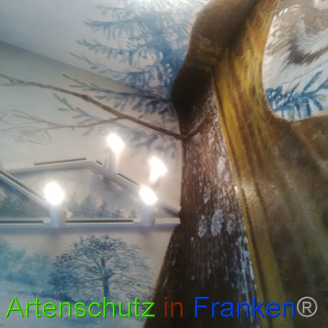 © Artenschutz in Franken® Bild zum Eintrag (1026490-160)