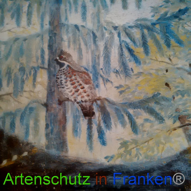 © Artenschutz in Franken® Bild zum Eintrag (1026493-160)