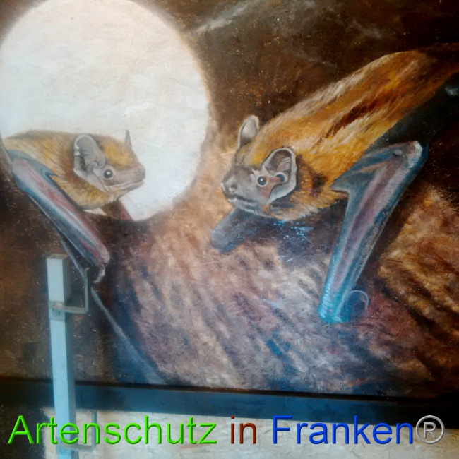 © Artenschutz in Franken® Bild zum Eintrag (1026494-160)