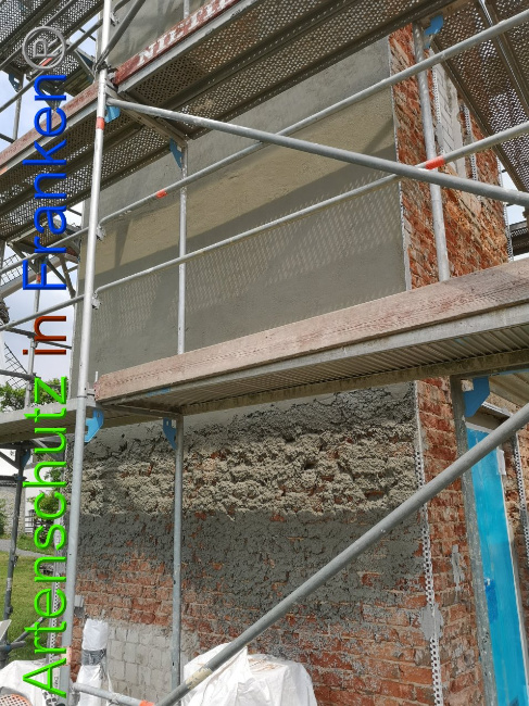 © Artenschutz in Franken® / Vennemann Bild zum Eintrag (1026506-160)