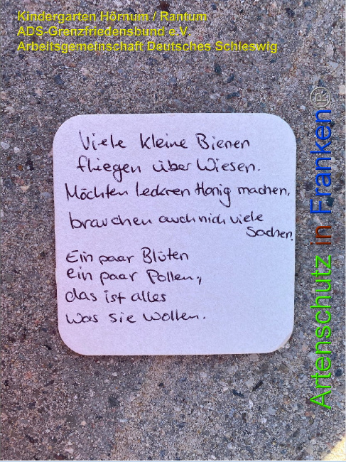 © Artenschutz in Franken® Kindergarten Hörnum / Rantum ADS-Grenzfriedensbund e.V. Arbeitsgemeinschaft Deutsches Schleswig Bild zum Eintrag (1026535-160)