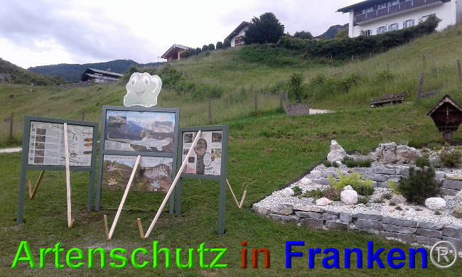 © Artenschutz in Franken® Bild zum Eintrag (1026583-160)
