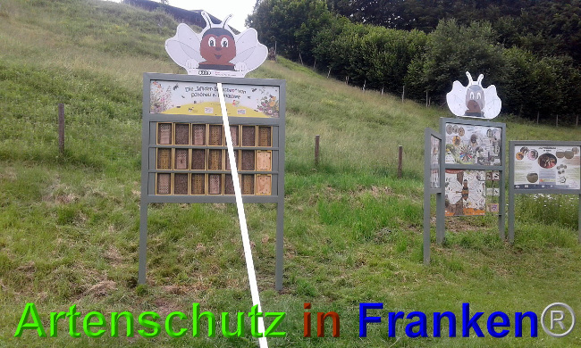 © Artenschutz in Franken® Bild zum Eintrag (1026588-160)
