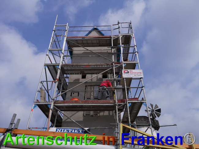 © Artenschutz in Franken® / Vennemann Bild zum Eintrag (1026597-160)