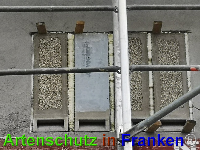 © Artenschutz in Franken® / Vennemann Bild zum Eintrag (1026602-160)