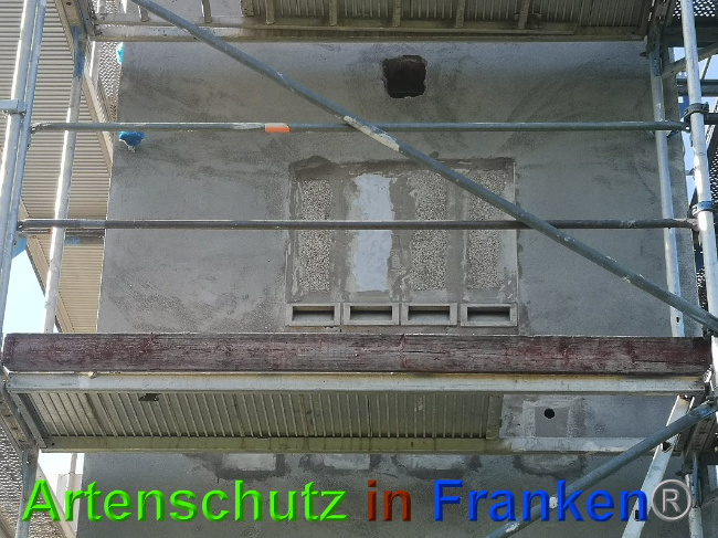 © Artenschutz in Franken® / Vennemann Bild zum Eintrag (1026631-160)