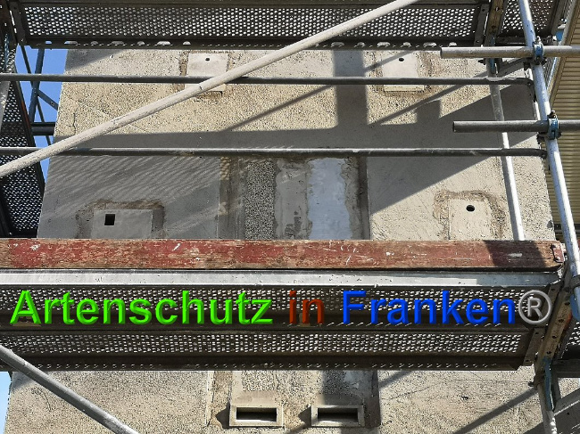 © Artenschutz in Franken® / Vennemann Bild zum Eintrag (1026634-160)