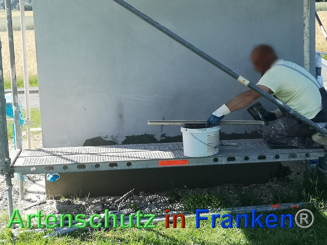 © Artenschutz in Franken® / Vennemann Bild zum Eintrag (1026763-160)