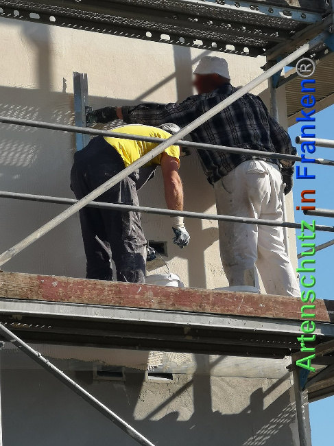 © Artenschutz in Franken® / Vennemann Bild zum Eintrag (1026767-160)