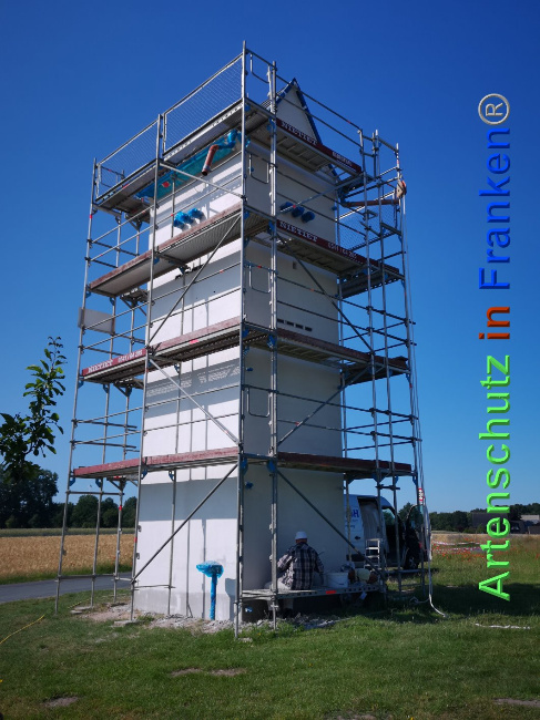 © Artenschutz in Franken® / Vennemann Bild zum Eintrag (1026770-160)