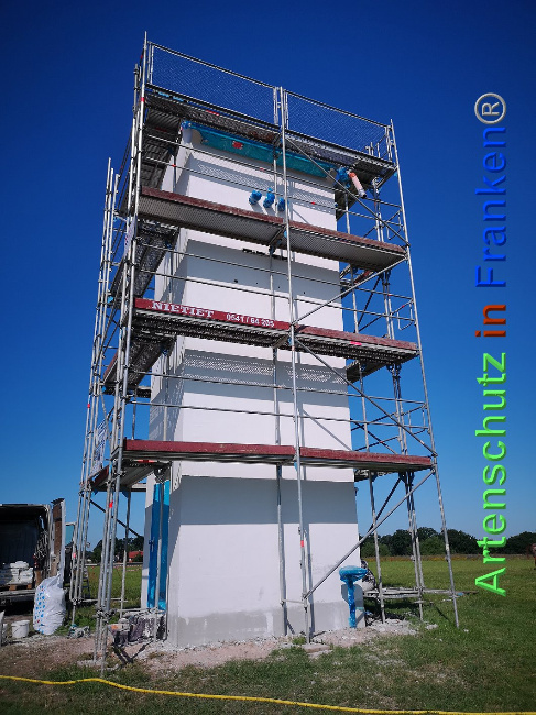 © Artenschutz in Franken® / Vennemann Bild zum Eintrag (1026771-160)