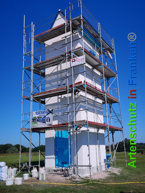 © Artenschutz in Franken® / Vennemann Bild zum Eintrag (1026822-160)