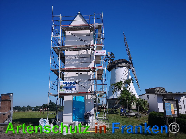 © Artenschutz in Franken® / Vennemann Bild zum Eintrag (1026823-160)