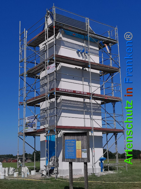 © Artenschutz in Franken® / Vennemann Bild zum Eintrag (1026824-160)