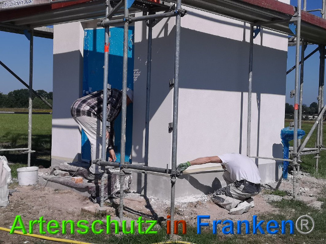 © Artenschutz in Franken® / Vennemann Bild zum Eintrag (1026828-160)