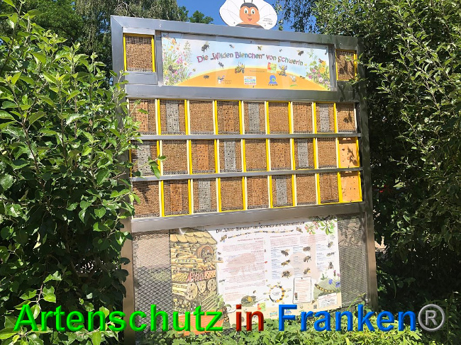 © Artenschutz in Franken® / Lange Bild zum Eintrag (1026835-160)