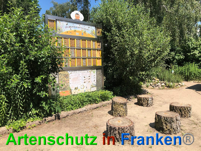 © Artenschutz in Franken® / Lange Bild zum Eintrag (1026836-160)
