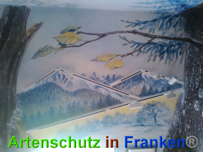 © Artenschutz in Franken® Bild zum Eintrag (1026854-160)