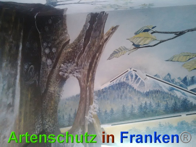 © Artenschutz in Franken® Bild zum Eintrag (1026856-160)