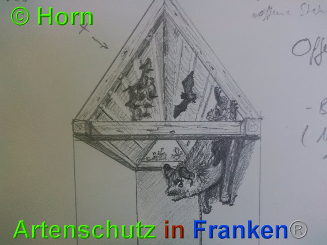 © Artenschutz in Franken® / Horn Bild zum Eintrag (1026900-160)