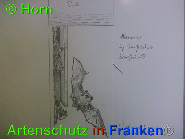 © Artenschutz in Franken® / Horn Bild zum Eintrag (1026905-160)