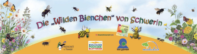 © Artenschutz in Franken® Bild zum Eintrag (1026940-160)