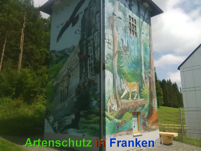 © Artenschutz in Franken® Bild zum Eintrag (1026980-160)