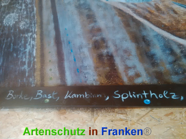 Bild zum Eintrag (1026984-160)