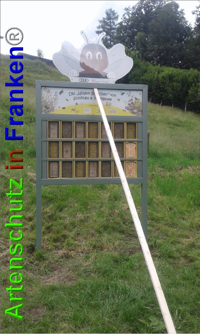 © Artenschutz in Franken® Bild zum Eintrag (1027055-160)