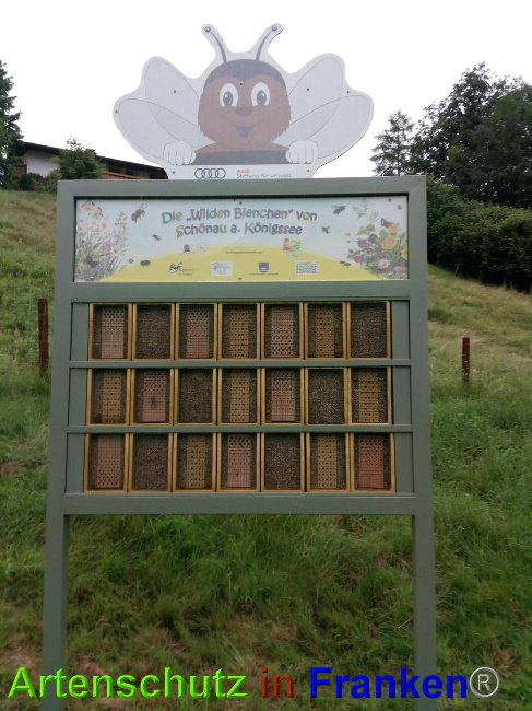 © Artenschutz in Franken® Bild zum Eintrag (1027072-160)
