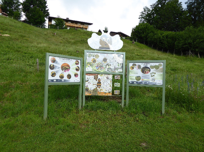 © Artenschutz in Franken® / Brüggler Bild zum Eintrag (1027074-160)