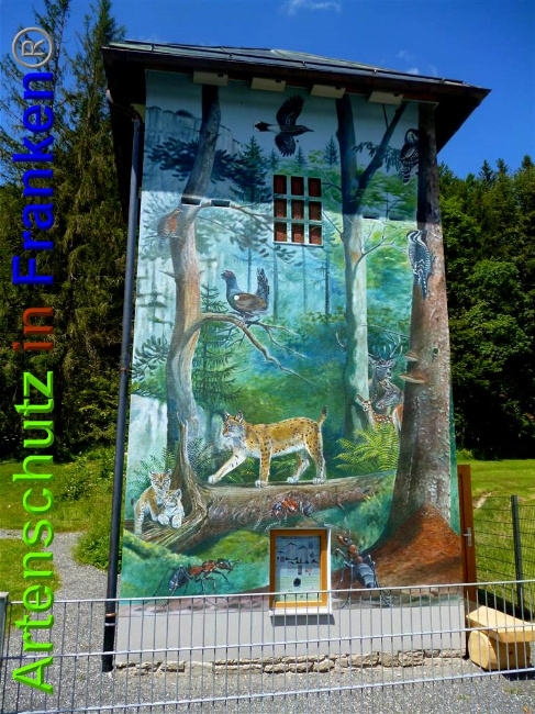 © Artenschutz in Franken® / Müller Bild zum Eintrag (1027158-160)