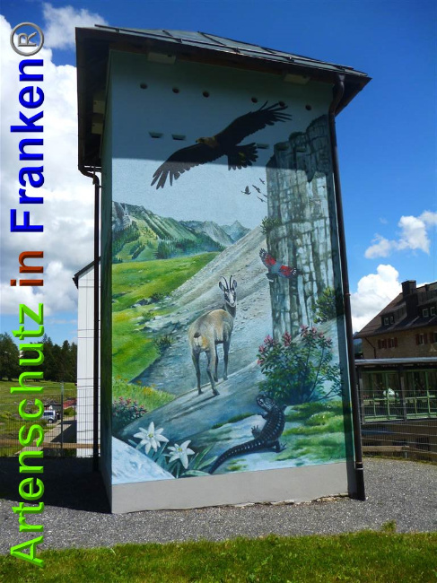 © Artenschutz in Franken® / Müller Bild zum Eintrag (1027159-160)