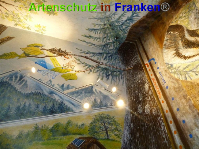 © Artenschutz in Franken® / Müller Bild zum Eintrag (1027190-160)